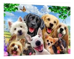 Logo Carioca Pet Center